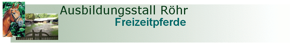 Freizeitpferde Freizeitpferde