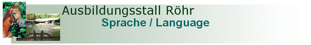 Sprache / Language Sprache / Language