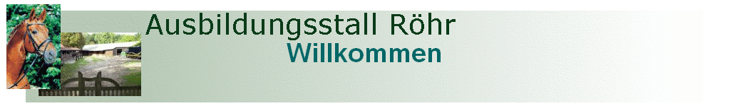 Willkommen Willkommen