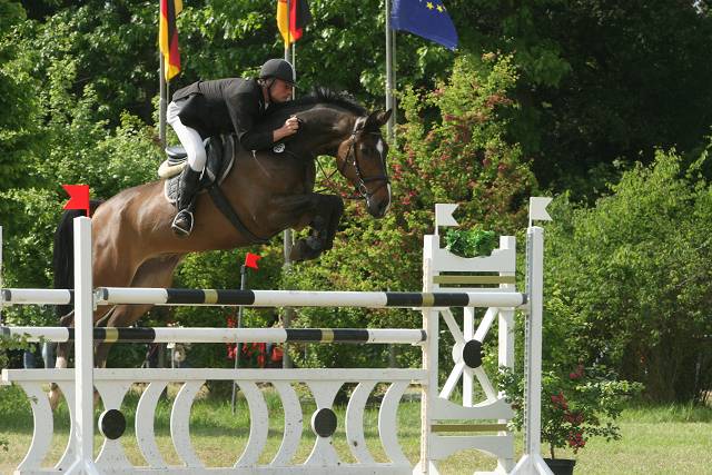 startbild (640 x 480)02 startbild (640 x 480)02